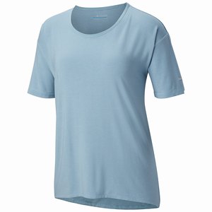 Columbia Ropa Casual Fairview™ II Mujer Grises/Azules (201VUGJSC)